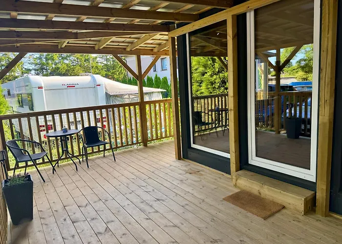 Konik Polny * Jastarnia